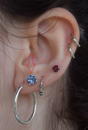 Silver Round Gem Stud Earrings Customer Photo